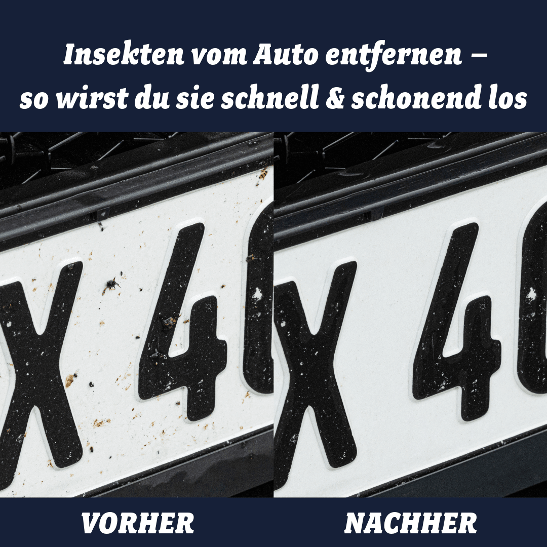 Insekten vom Auto entfernen – so wirst du sie schnell & schonend los - CLEANEXTREME