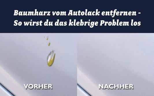 Baumharz vom Autolack entfernen – So wirst du das klebrige Problem los - CLEANEXTREME