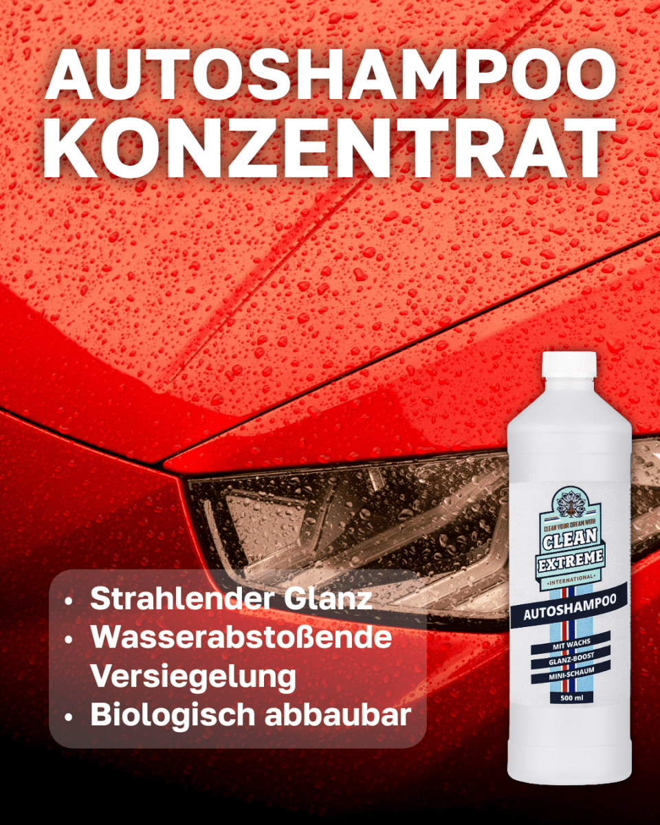 Winter - Set – Außenreinigung & Pflege❄️ - CLEANEXTREME