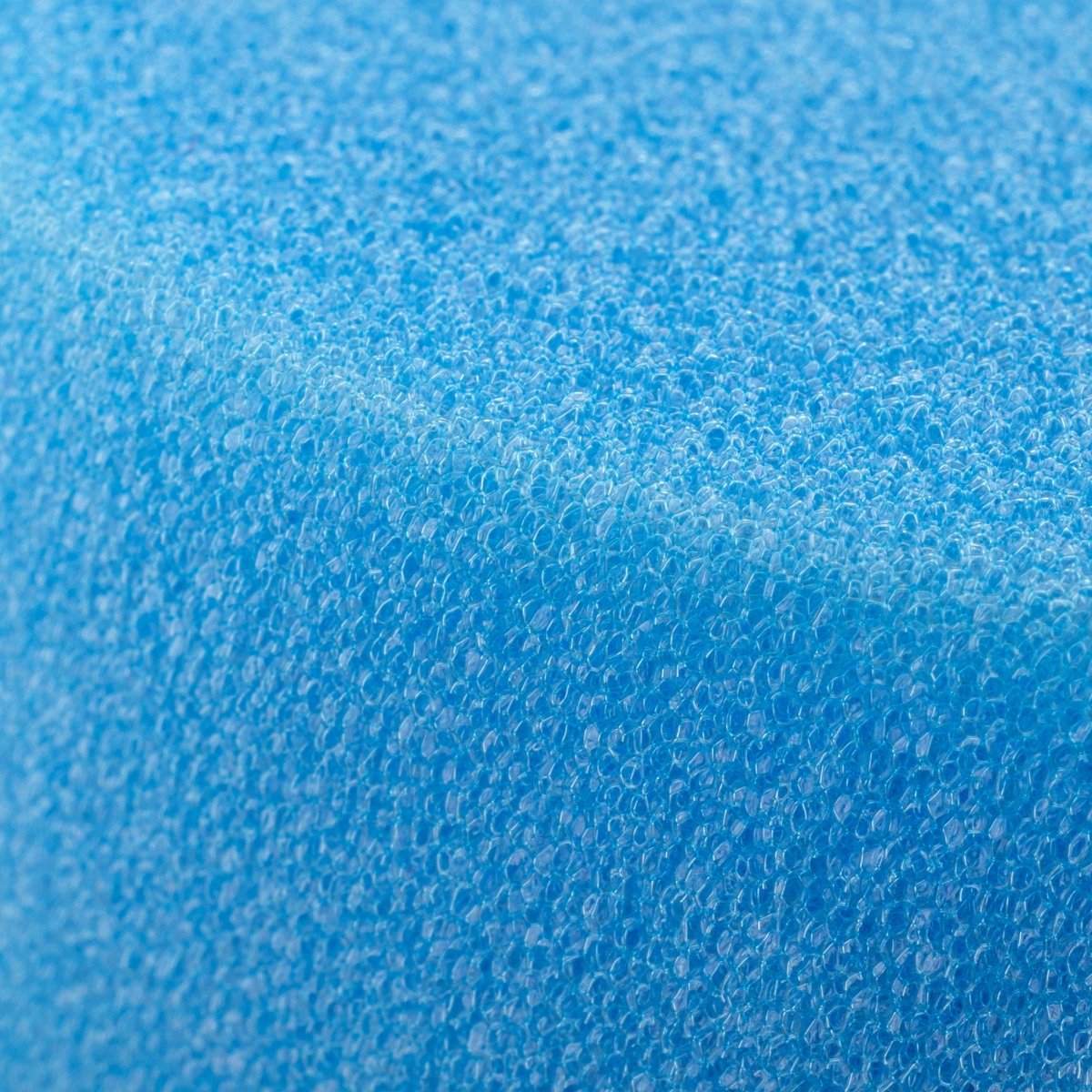 Lackmaus BLAU-medium - 5 Stück - CLEANEXTREME